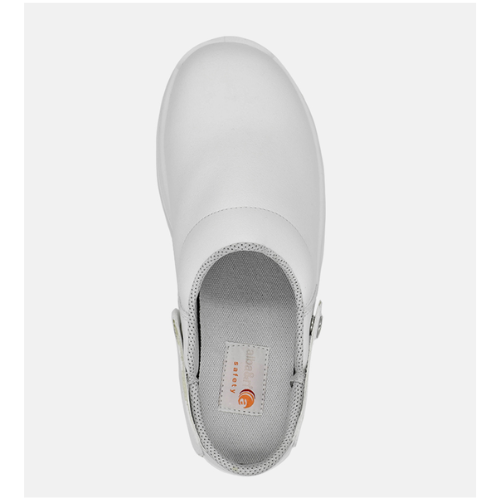 CURRY SB SRC
